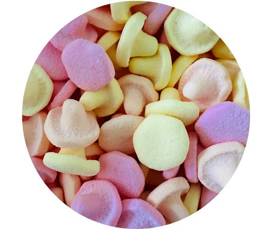 Champignons Acidulés (100gr)