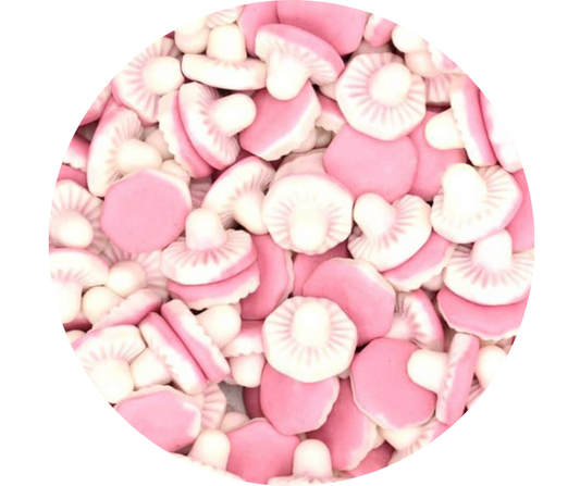 🍄 Champignons Géants (100gr) 🇬🇧