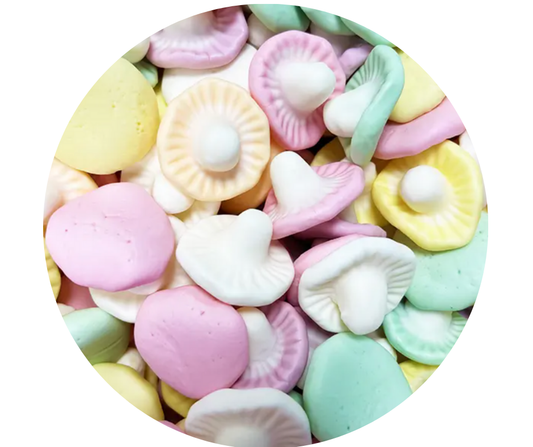 Champignons Frisia (100gr)