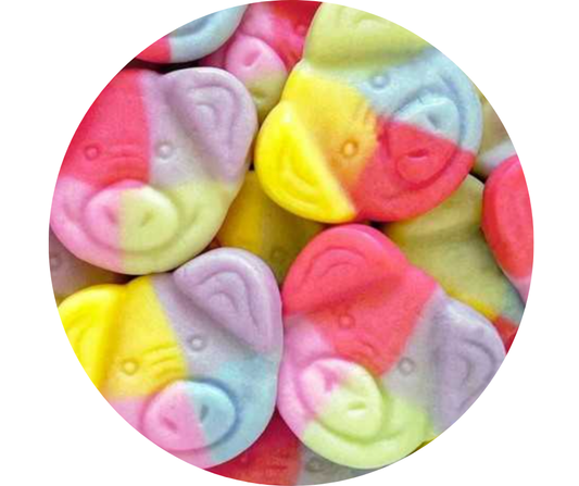 Fred le Cochon Multicolore Katjes 100% Vegan (100gr)