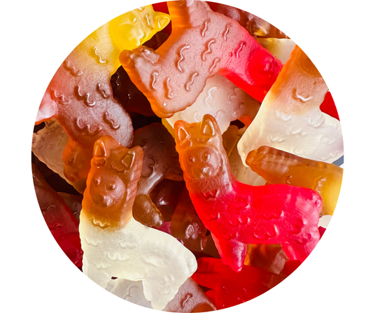 Lama Cola Citron Cerise Katjes 100% Vegan (100gr)