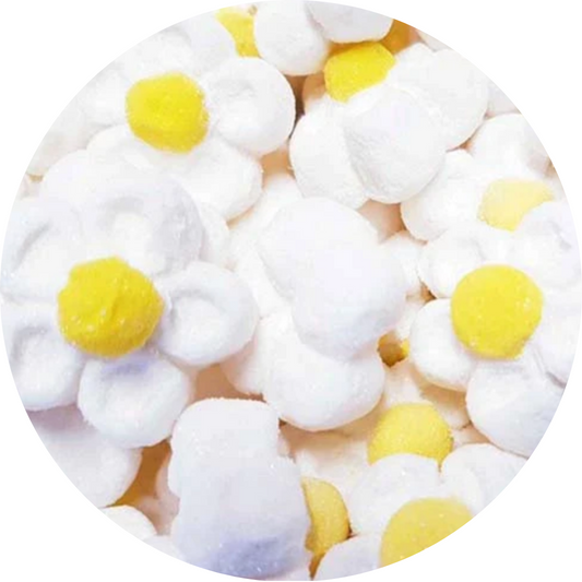 Marguerite Bulgari Blanche à la Guimauve (100 gr)