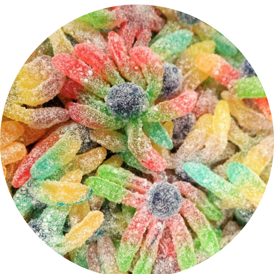 Poulpe Acidulé Octopus Sour (100gr)