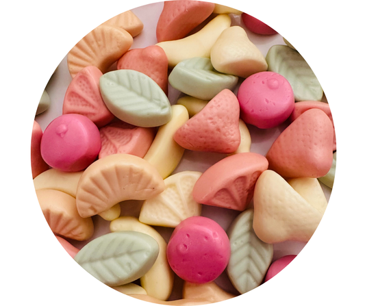 Yaourt FruityMix (50gr)